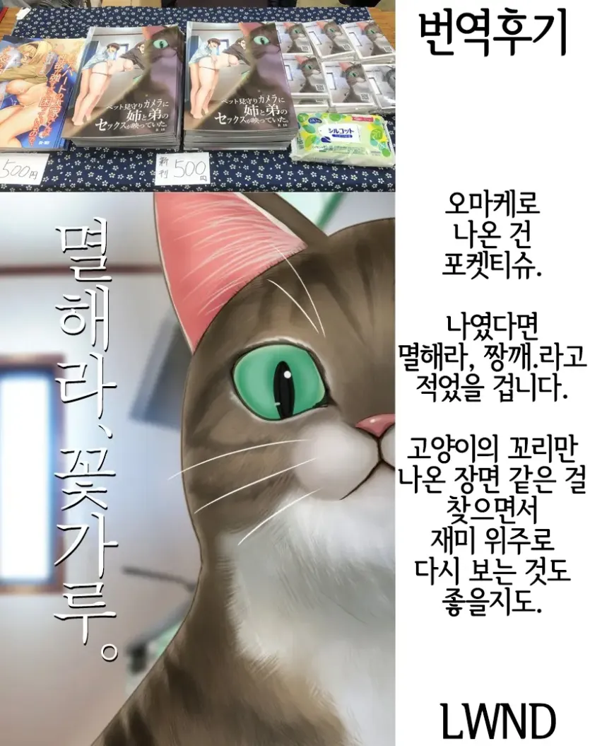 9b6000aca4d822b24cf405f23dcdd624_1736201133_3496.webp