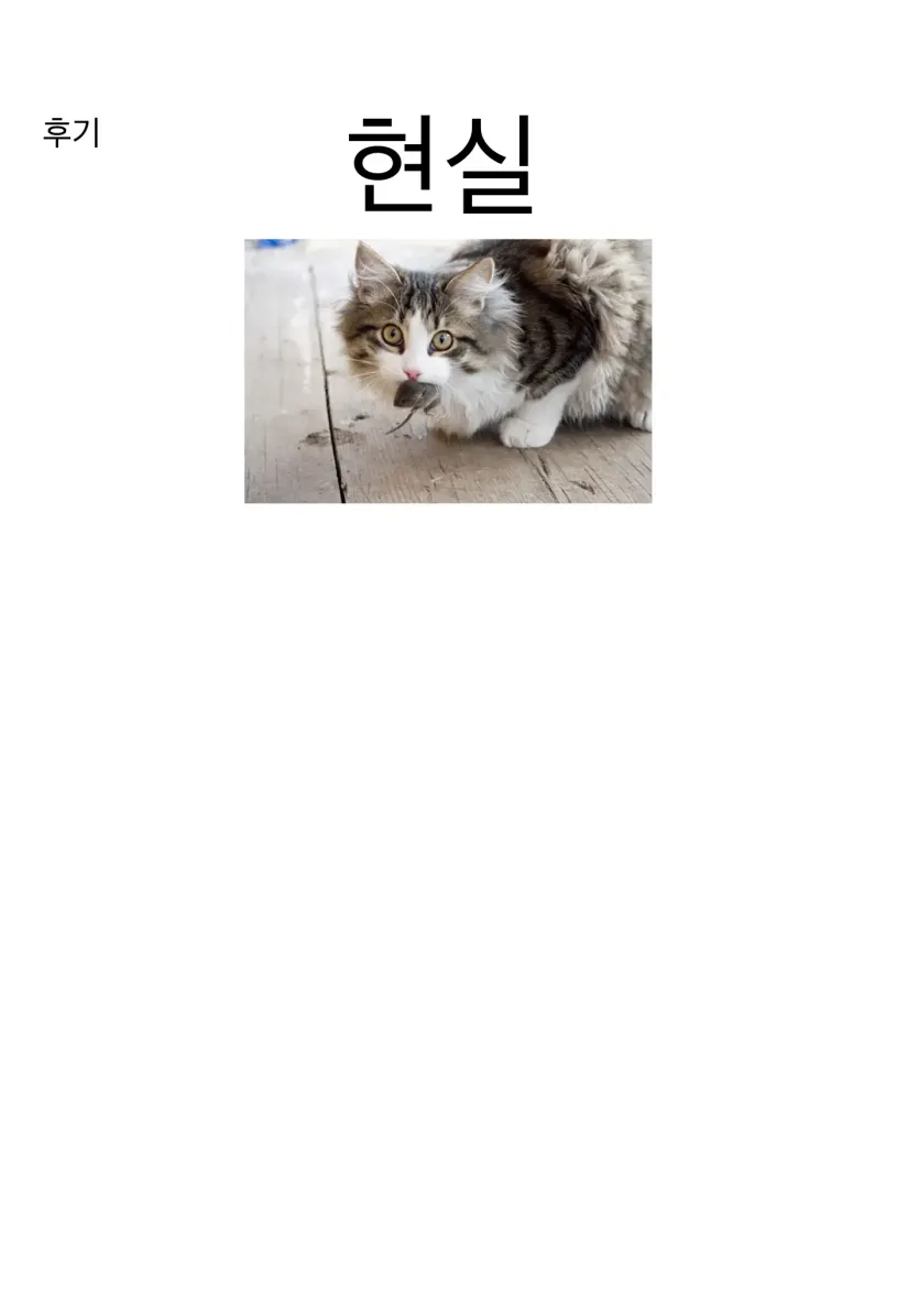 a99a6018f2e9990836b877b7864c5d8c_1748817138_9061.webp