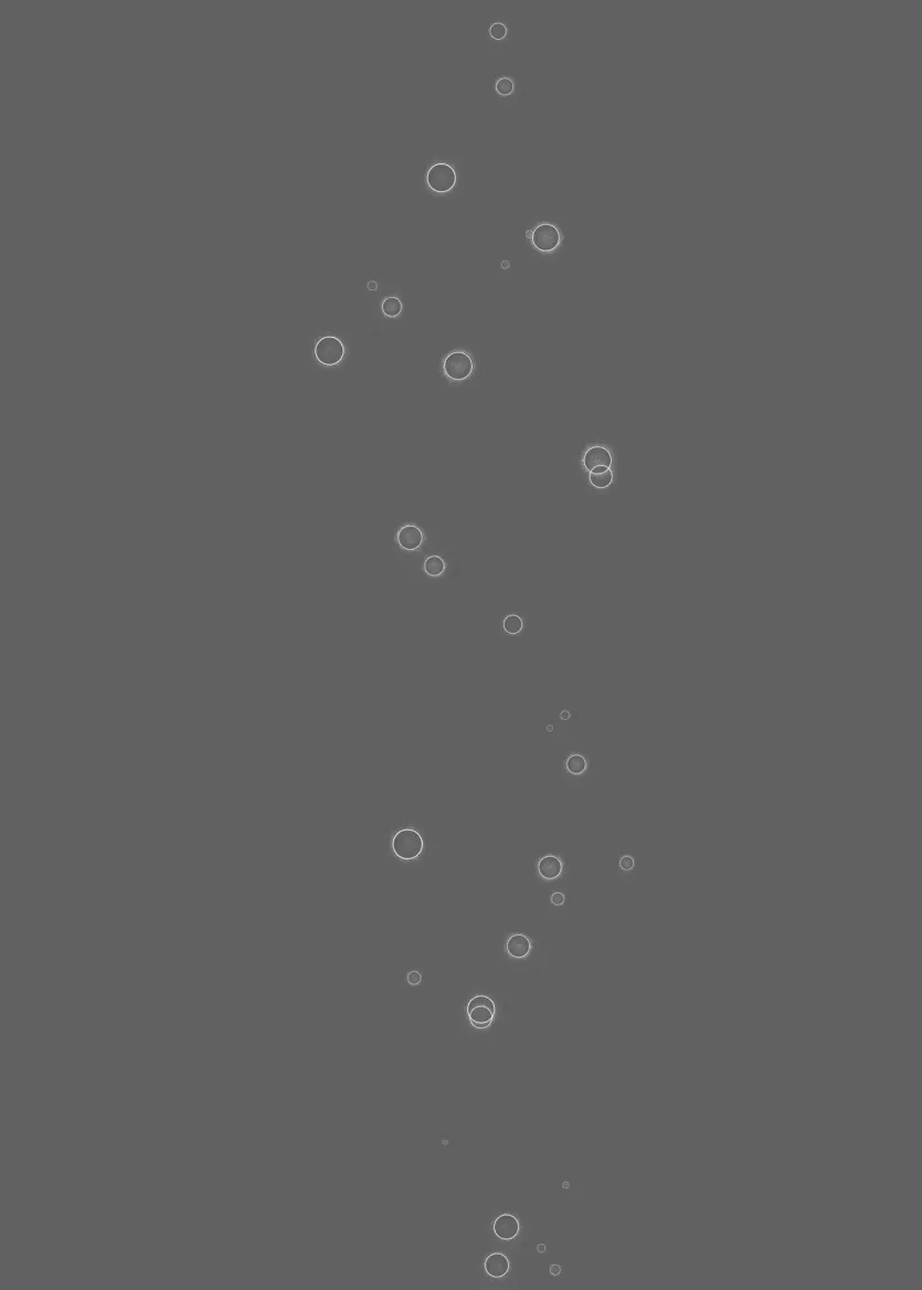 720d84e2acad4c69362eb86aaa3db856_1759881972_6206.webp